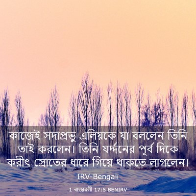 Picture 03 - 1 ৰাজাৱলী 17:5 BENIRV - কাজেই সদাপ্রভু - Bible Verse Picture