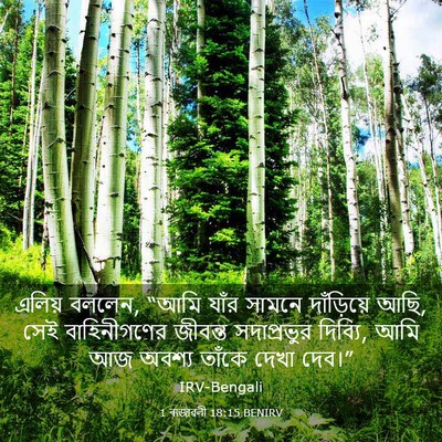 Picture 03 - 1 ৰাজাৱলী 18:15 BENIRV - এলিয় বললেন, “আমি - Bible Verse Picture