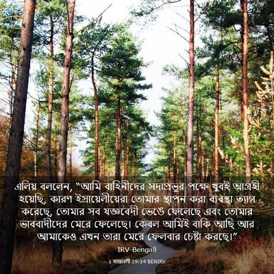 Picture 03 - 1 ৰাজাৱলী 19:14 BENIRV - এলিয় বললেন, “আমি - Bible Verse Picture