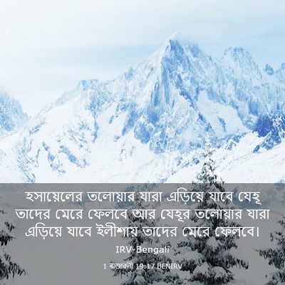 Picture 03 - 1 ৰাজাৱলী 19:17 BENIRV - হসায়েলের তলোয়ার - Bible Verse Picture