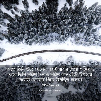 Picture 03 - 1 ৰাজাৱলী 19:8 BENIRV - তাতে তিনি উঠে - Bible Verse Picture