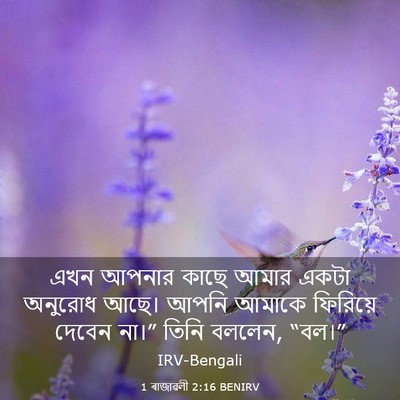 Picture 03 - 1 ৰাজাৱলী 2:16 BENIRV - এখন আপনার কাছে - Bible Verse Picture