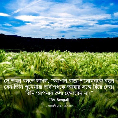 Picture 03 - 1 ৰাজাৱলী 2:17 BENIRV - সে তখন বলতে লাগল, - Bible Verse Picture