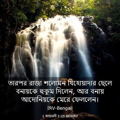 Picture 03 - 1 ৰাজাৱলী 2:25 BENIRV - তারপর রাজা শলোমন - Bible Verse Picture