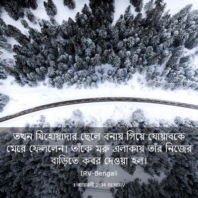 Picture 03 - 1 ৰাজাৱলী 2:34 BENIRV - তখন যিহোয়াদার - Bible Verse Picture