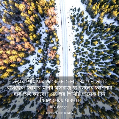 Picture 03 - 1 ৰাজাৱলী 2:38 BENIRV - উত্তরে শিমিয়ি - Bible Verse Picture
