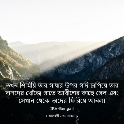 Picture 03 - 1 ৰাজাৱলী 2:40 BENIRV - তখন শিমিয়ি তার - Bible Verse Picture