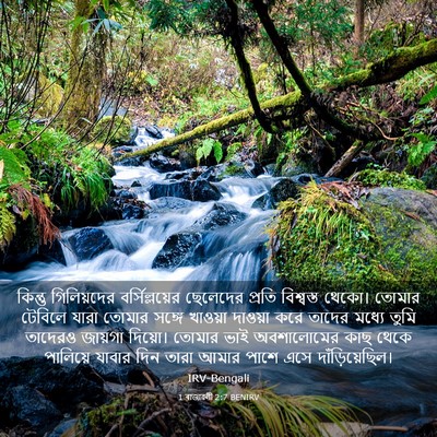 Picture 03 - 1 ৰাজাৱলী 2:7 BENIRV - কিন্তু গিলিয়দের - Bible Verse Picture