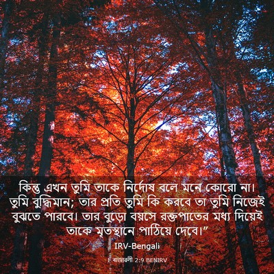 Picture 03 - 1 ৰাজাৱলী 2:9 BENIRV - কিন্তু এখন তুমি - Bible Verse Picture
