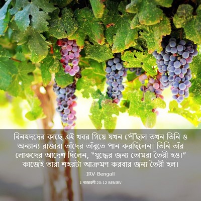 Picture 03 - 1 ৰাজাৱলী 20:12 BENIRV - বিনহদদের কাছে এই - Bible Verse Picture