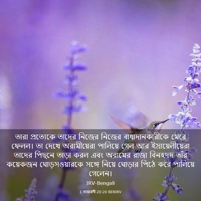 Picture 03 - 1 ৰাজাৱলী 20:20 BENIRV - তারা প্রত্যেকে - Bible Verse Picture