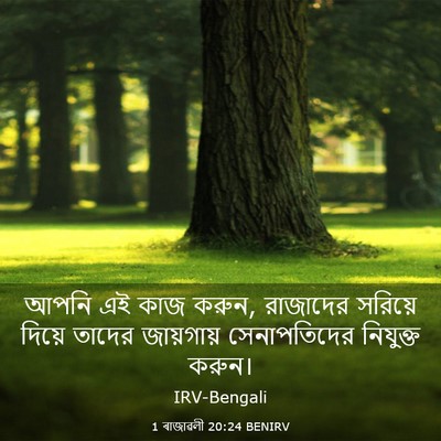 Picture 03 - 1 ৰাজাৱলী 20:24 BENIRV - আপনি এই কাজ করুন, - Bible Verse Picture