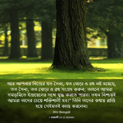 Picture 03 - 1 ৰাজাৱলী 20:25 BENIRV - আর আপনার নিজের যত - Bible Verse Picture