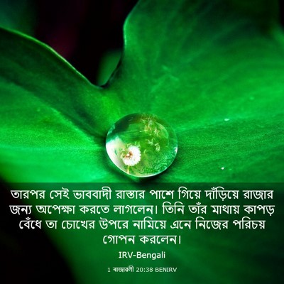Picture 03 - 1 ৰাজাৱলী 20:38 BENIRV - তারপর সেই ভাববাদী - Bible Verse Picture