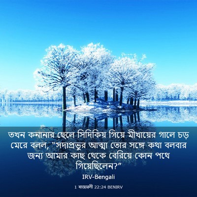 Picture 03 - 1 ৰাজাৱলী 22:24 BENIRV - তখন কনানার ছেলে - Bible Verse Picture
