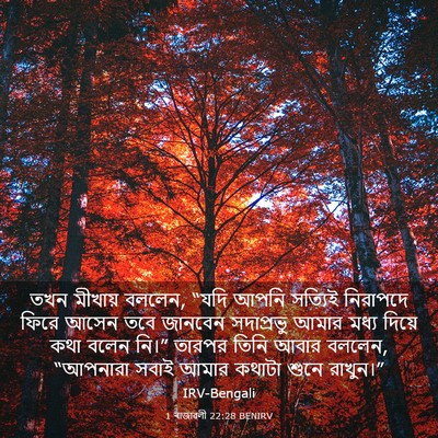 Picture 03 - 1 ৰাজাৱলী 22:28 BENIRV - তখন মীখায় বললেন, - Bible Verse Picture