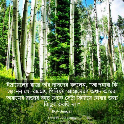 Picture 03 - 1 ৰাজাৱলী 22:3 BENIRV - ইস্রায়েলের রাজা - Bible Verse Picture