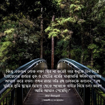 Picture 03 - 1 ৰাজাৱলী 22:34 BENIRV - কিন্তু একজন লোক - Bible Verse Picture