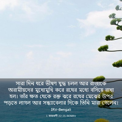 Picture 03 - 1 ৰাজাৱলী 22:35 BENIRV - সারা দিন ধরে ভীষণ - Bible Verse Picture
