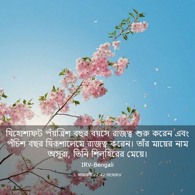 Picture 03 - 1 ৰাজাৱলী 22:42 BENIRV - যিহোশাফট - Bible Verse Picture