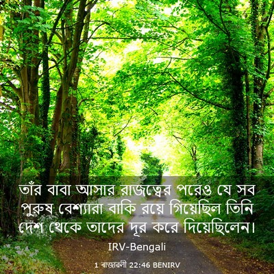 Picture 03 - 1 ৰাজাৱলী 22:46 BENIRV - তাঁর বাবা আসার - Bible Verse Picture
