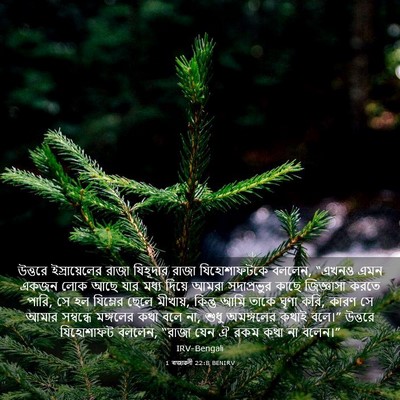 Picture 03 - 1 ৰাজাৱলী 22:8 BENIRV - উত্তরে - Bible Verse Picture