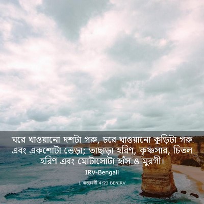 Picture 03 - 1 ৰাজাৱলী 4:23 BENIRV - ঘরে খাওয়ানো দশটা - Bible Verse Picture