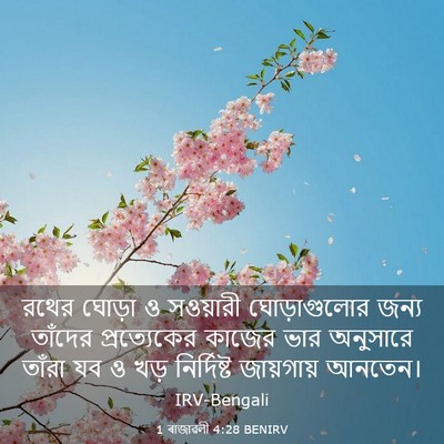 Picture 03 - 1 ৰাজাৱলী 4:28 BENIRV - রথের ঘোড়া ও - Bible Verse Picture