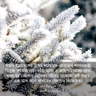 Picture 03 - 1 ৰাজাৱলী 4:7 BENIRV - সমস্ত ইস্রায়েলের - Bible Verse Picture