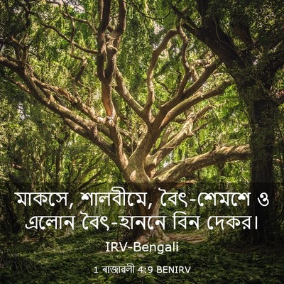 Picture 03 - 1 ৰাজাৱলী 4:9 BENIRV - মাকসে, শালবীমে, - Bible Verse Picture