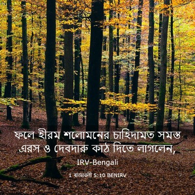 Picture 03 - 1 ৰাজাৱলী 5:10 BENIRV - ফলে হীরম শলোমনের - Bible Verse Picture