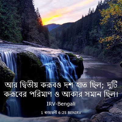 Picture 03 - 1 ৰাজাৱলী 6:25 BENIRV - আর দ্বিতীয় করূবও - Bible Verse Picture