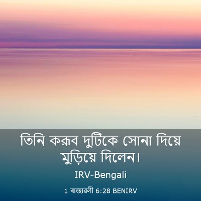 Picture 03 - 1 ৰাজাৱলী 6:28 BENIRV - তিনি করূব দুটিকে - Bible Verse Picture