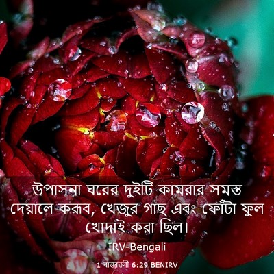Picture 03 - 1 ৰাজাৱলী 6:29 BENIRV - উপাসনা ঘরের দুইটি - Bible Verse Picture