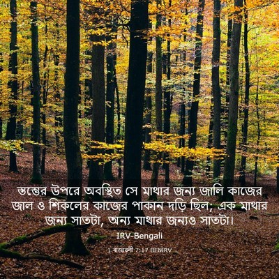 Picture 03 - 1 ৰাজাৱলী 7:17 BENIRV - স্তম্ভের উপরে - Bible Verse Picture