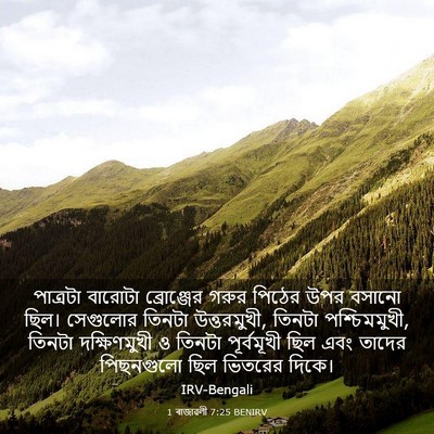 Picture 03 - 1 ৰাজাৱলী 7:25 BENIRV - পাত্রটা বারোটা - Bible Verse Picture
