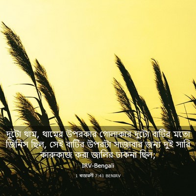 Picture 03 - 1 ৰাজাৱলী 7:41 BENIRV - দুটো থাম, থামের - Bible Verse Picture