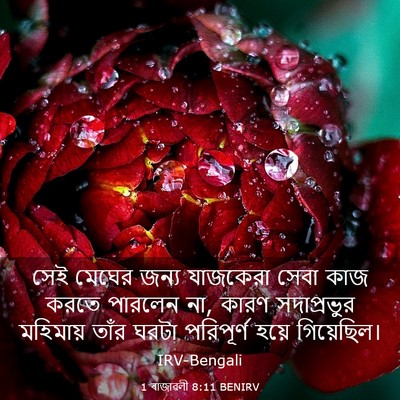 Picture 03 - 1 ৰাজাৱলী 8:11 BENIRV - সেই মেঘের জন্য - Bible Verse Picture