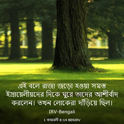 Picture 03 - 1 ৰাজাৱলী 8:14 BENIRV - এই বলে রাজা জড়ো - Bible Verse Picture
