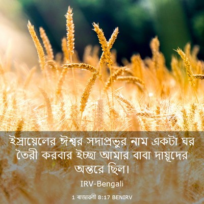 Picture 03 - 1 ৰাজাৱলী 8:17 BENIRV - ইস্রায়েলের ঈশ্বর - Bible Verse Picture