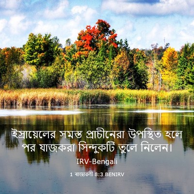 Picture 03 - 1 ৰাজাৱলী 8:3 BENIRV - ইস্রায়েলের সমস্ত - Bible Verse Picture