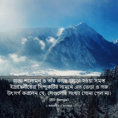 Picture 03 - 1 ৰাজাৱলী 8:5 BENIRV - রাজা শলোমন ও তাঁর - Bible Verse Picture