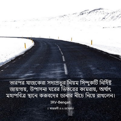 Picture 03 - 1 ৰাজাৱলী 8:6 BENIRV - তারপর যাজকেরা - Bible Verse Picture