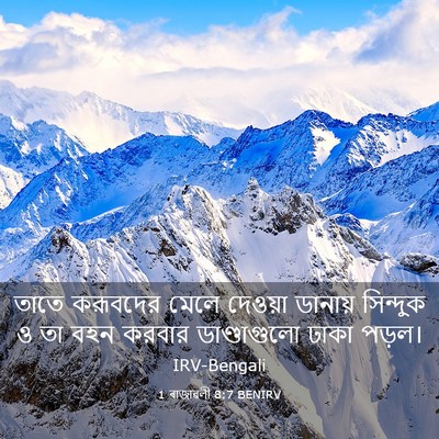 Picture 03 - 1 ৰাজাৱলী 8:7 BENIRV - তাতে করূবদের মেলে - Bible Verse Picture