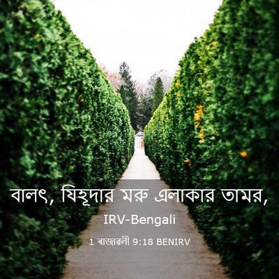 Picture 03 - 1 ৰাজাৱলী 9:18 BENIRV - বালৎ, যিহূদার মরু - Bible Verse Picture