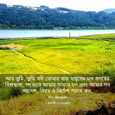 Picture 03 - 1 ৰাজাৱলী 9:4 BENIRV - আর তুমি, তুমি যদি - Bible Verse Picture