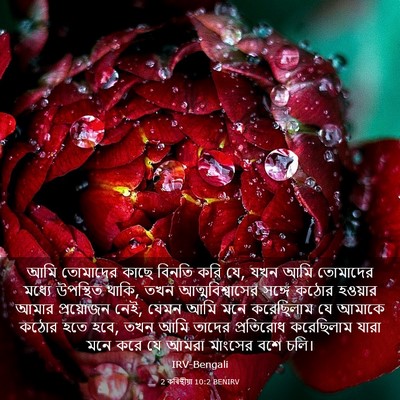 Picture 03 - 2 কৰিন্থীয়া 10:2 BENIRV - আমি তোমাদের কাছে - Bible Verse Picture