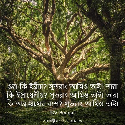 Picture 03 - 2 কৰিন্থীয়া 11:22 BENIRV - ওরা কি ইব্রীয়? - Bible Verse Picture