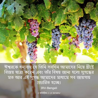 Picture 03 - 2 কৰিন্থীয়া 2:14 BENIRV - ঈশ্বরকে ধন্যবাদ - Bible Verse Picture