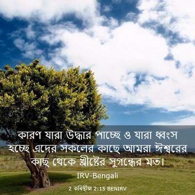 Picture 03 - 2 কৰিন্থীয়া 2:15 BENIRV - কারণ যারা উদ্ধার - Bible Verse Picture